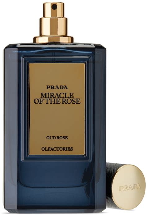 prada rose perfume men|Prada miracle of the rose.